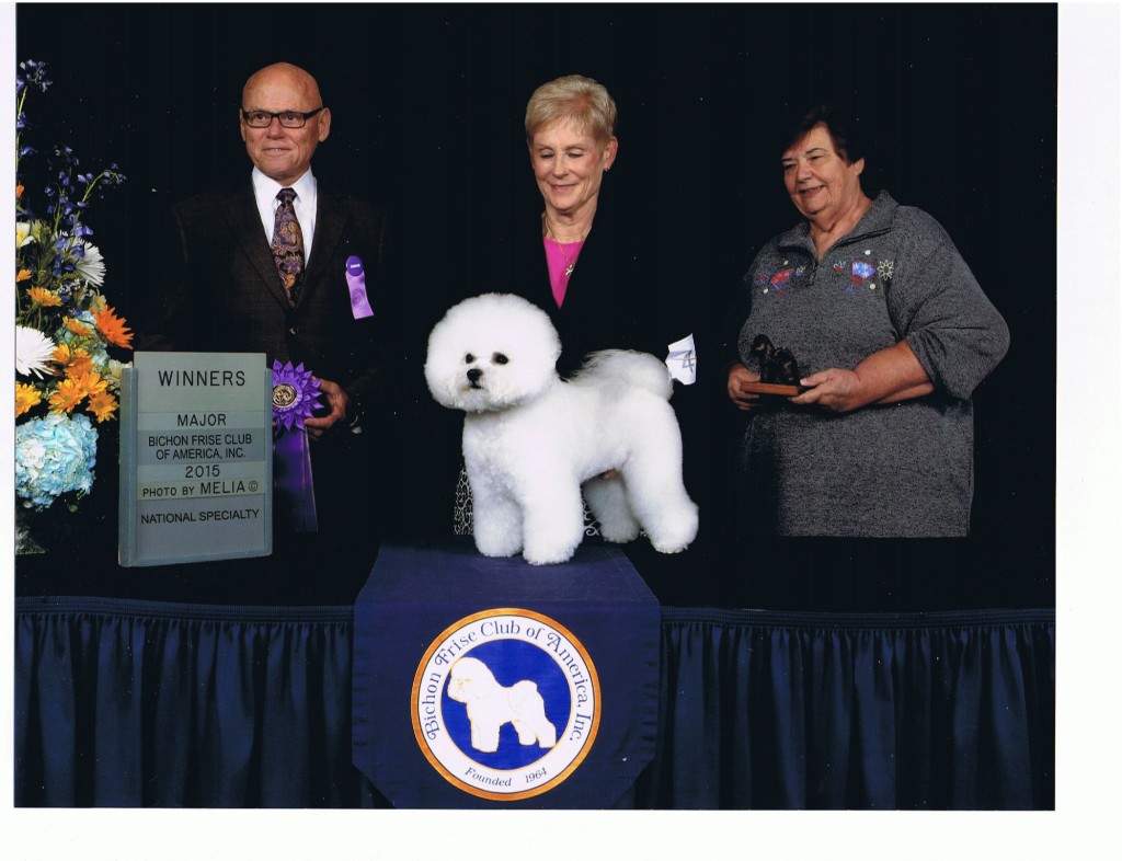 Baron, Winners photo.  He was also Best of Winners and Best Bred-By-Exhibitor