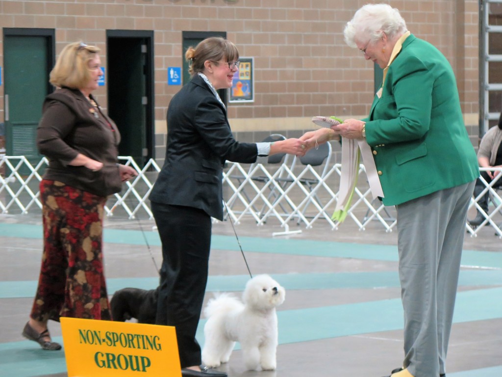 Jan. 18, 2016 - Cash is Best of Winners once again.  Next he competed in the puppy non-sporting group ring.  Here he is receiving his award.  His acceptance speech:  "I would like to thank the judge, my owners Paula and Dina, my handler Paula and my touch-up groomer Sheri.  