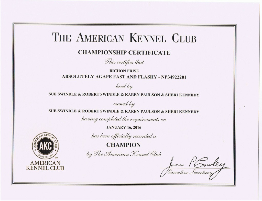 It takes a lot of hard work and dedication to achieve the title of Champion.  This is the AKC recognition for .Flo-Jo 