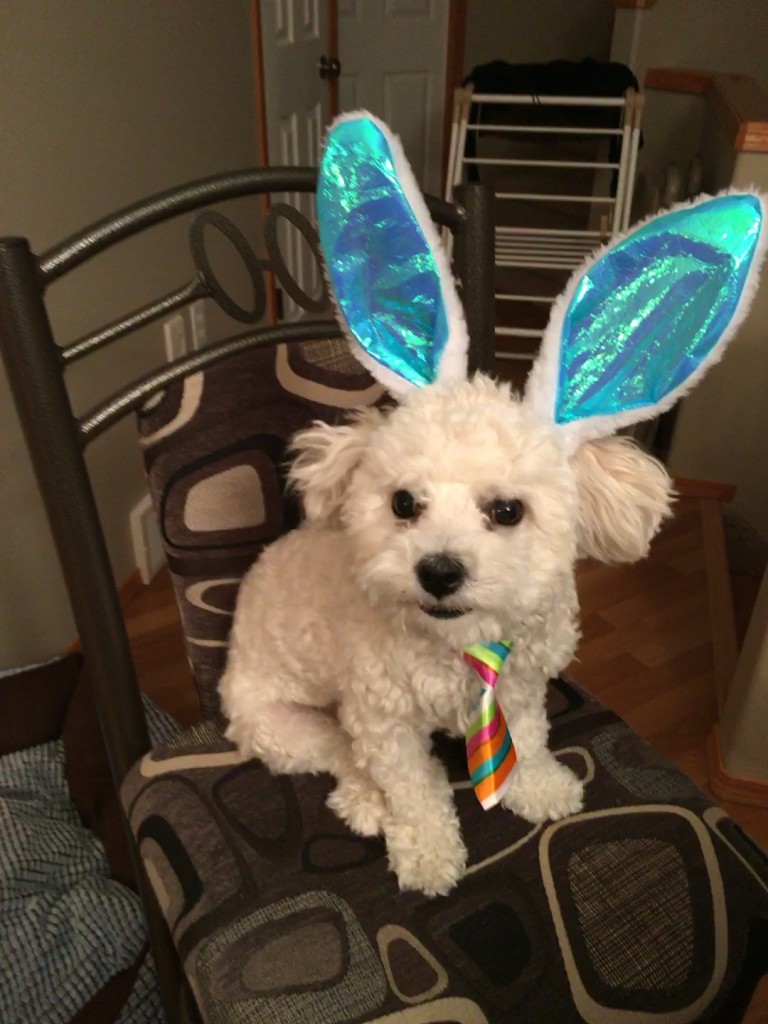 Finn and Easter Ears
