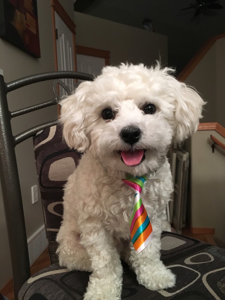 Finn and his Easter tie