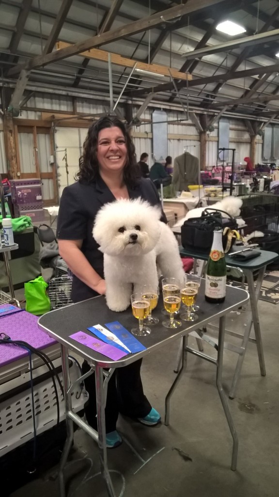 Liberty got Best of Winners today, giving her enough points to achieve her U.S. Championship.  Tasheena looks very happy, as she should be.  She learned to train, groom and show Liberty by herself.  Liberty is the third champion from the Piper x Simon litter.